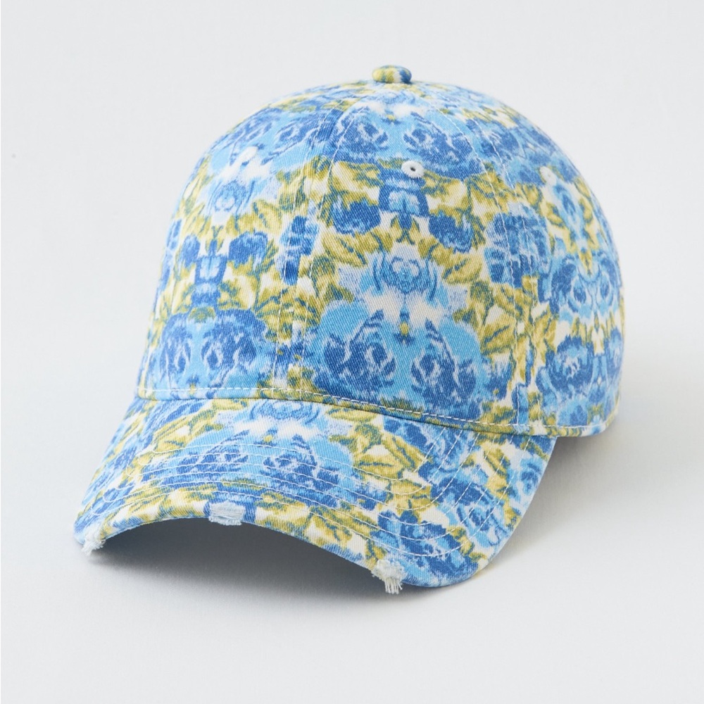 Aerie baseball cap NWT